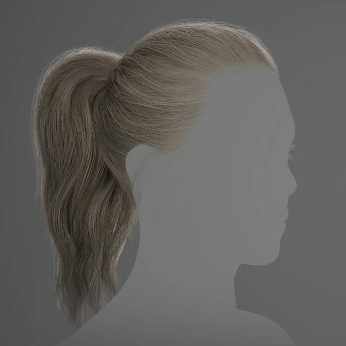 Ponytail